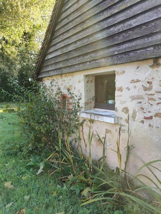 "Reves De Gamins", Gite De Campagne "La Camusiere" Proche Du Pole Europeen Et 24H Champagné エクステリア 写真